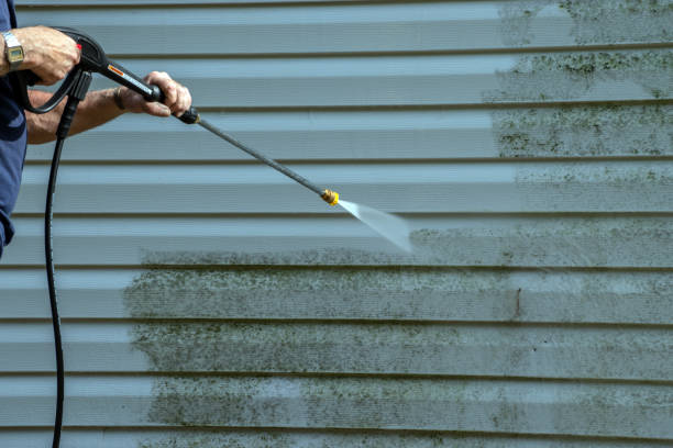 Best Driveway Pressure Washing  in Kalkaska, MI